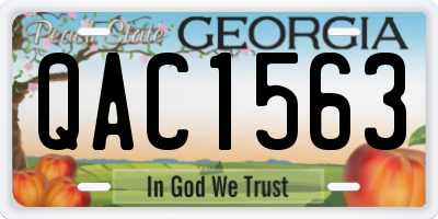 GA license plate QAC1563