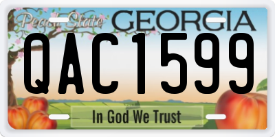 GA license plate QAC1599