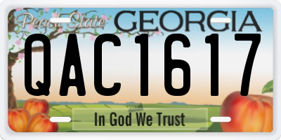 GA license plate QAC1617