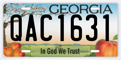 GA license plate QAC1631