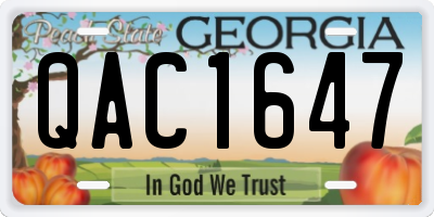 GA license plate QAC1647