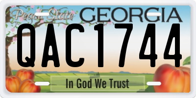 GA license plate QAC1744