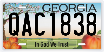 GA license plate QAC1838