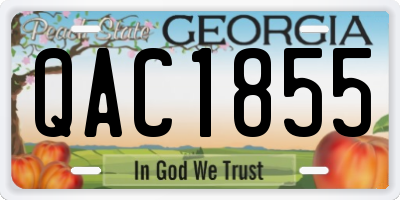 GA license plate QAC1855