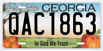 GA license plate QAC1863