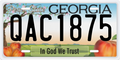 GA license plate QAC1875