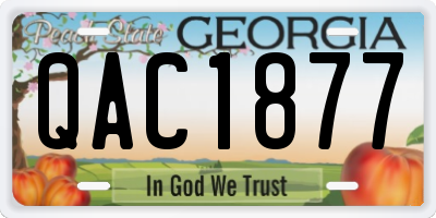 GA license plate QAC1877