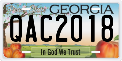 GA license plate QAC2018