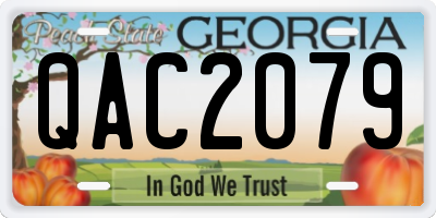 GA license plate QAC2079