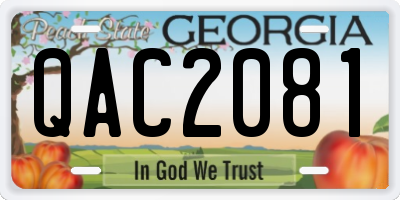 GA license plate QAC2081