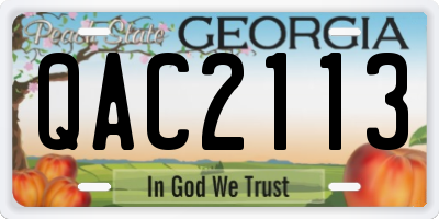 GA license plate QAC2113