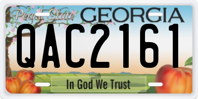 GA license plate QAC2161