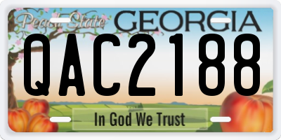 GA license plate QAC2188