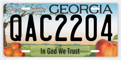 GA license plate QAC2204