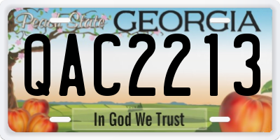 GA license plate QAC2213