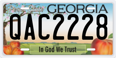 GA license plate QAC2228