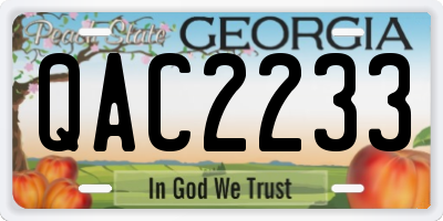 GA license plate QAC2233