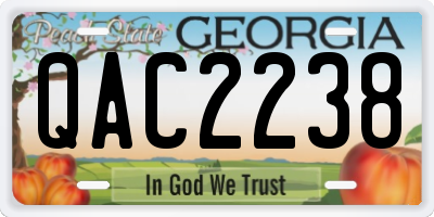 GA license plate QAC2238