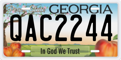 GA license plate QAC2244