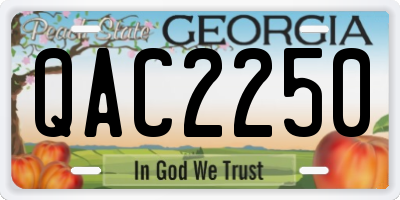 GA license plate QAC2250