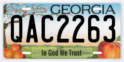 GA license plate QAC2263