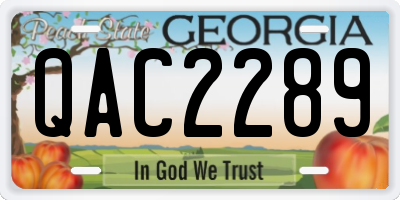 GA license plate QAC2289