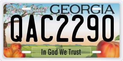 GA license plate QAC2290