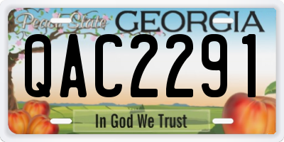 GA license plate QAC2291