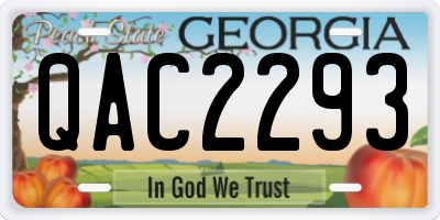 GA license plate QAC2293