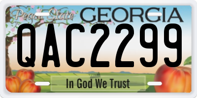GA license plate QAC2299