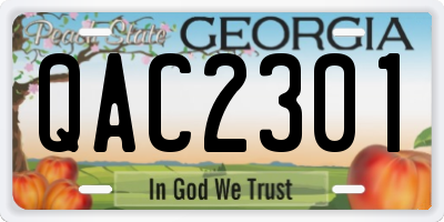 GA license plate QAC2301