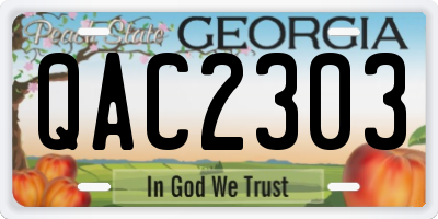 GA license plate QAC2303