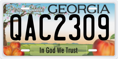 GA license plate QAC2309