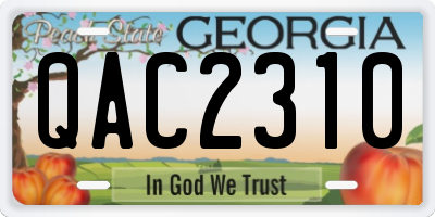 GA license plate QAC2310