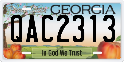 GA license plate QAC2313