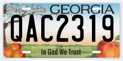 GA license plate QAC2319