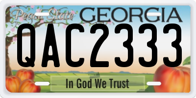 GA license plate QAC2333