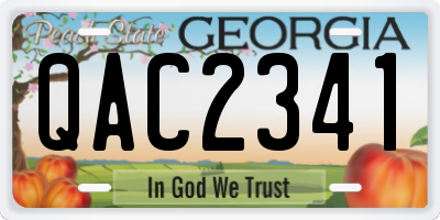 GA license plate QAC2341