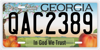 GA license plate QAC2389