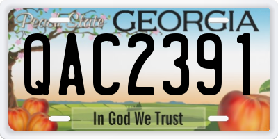 GA license plate QAC2391