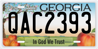 GA license plate QAC2393