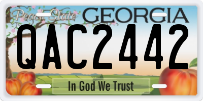 GA license plate QAC2442