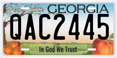 GA license plate QAC2445