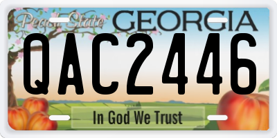 GA license plate QAC2446