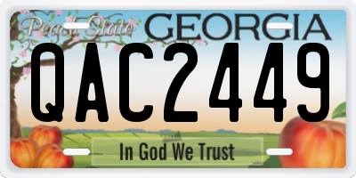 GA license plate QAC2449
