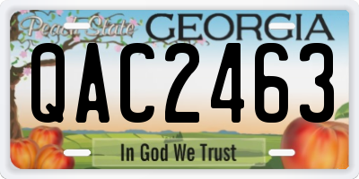 GA license plate QAC2463