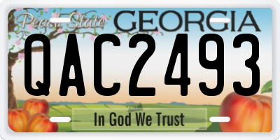 GA license plate QAC2493