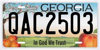 GA license plate QAC2503