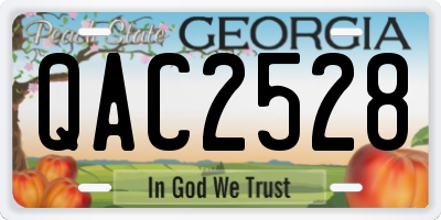 GA license plate QAC2528