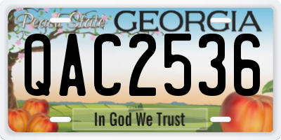 GA license plate QAC2536